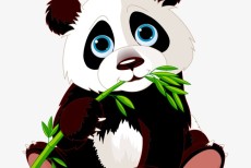 熊猫视频收费版APP下载 (熊猫视频收费吗安全吗)